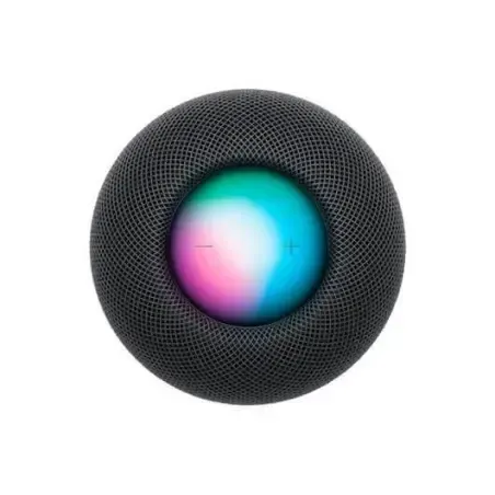 HomePod Mini Grigio Apple all'ingrosso B2B 📦