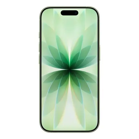 iPhone 17 256GB Verde salvia — prezzo all'ingrosso B2B