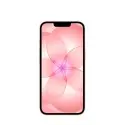 iPhone 17e 256GB Rosa Suave Apple all'ingrosso B2B 📦