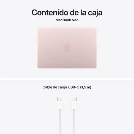 MacBook Neo A18 Pro 8GB 512GB Touch ID Rosa nube Apple all'ingrosso B2B 📦