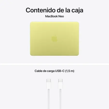 MacBook Neo A18 Pro 8GB 256GB Cítrico Apple all'ingrosso B2B 📦